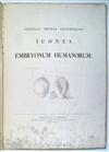 SOEMMERRING, SAMUEL THOMAS VON. Icones Embryonum Humanorum. 1799